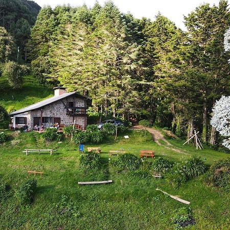 El Pital Ecolodge San Ignacio Eksteriør bilde