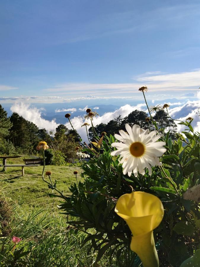El Pital Ecolodge San Ignacio Eksteriør bilde
