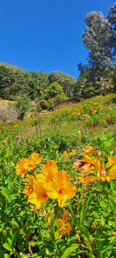 El Pital Ecolodge San Ignacio Eksteriør bilde