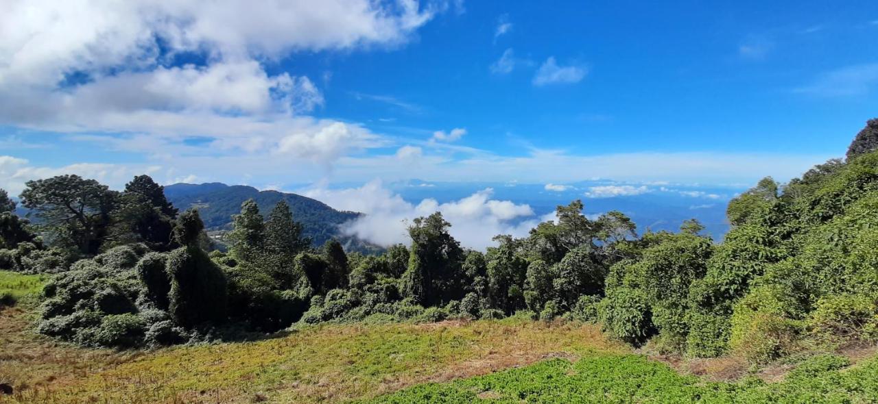 El Pital Ecolodge San Ignacio Eksteriør bilde