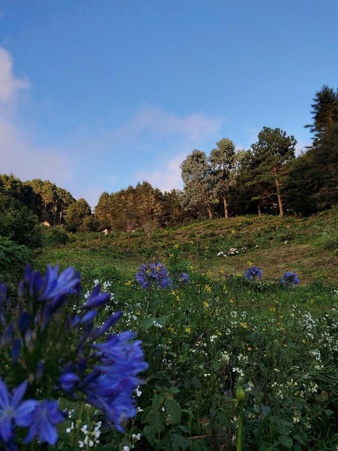 El Pital Ecolodge San Ignacio Eksteriør bilde