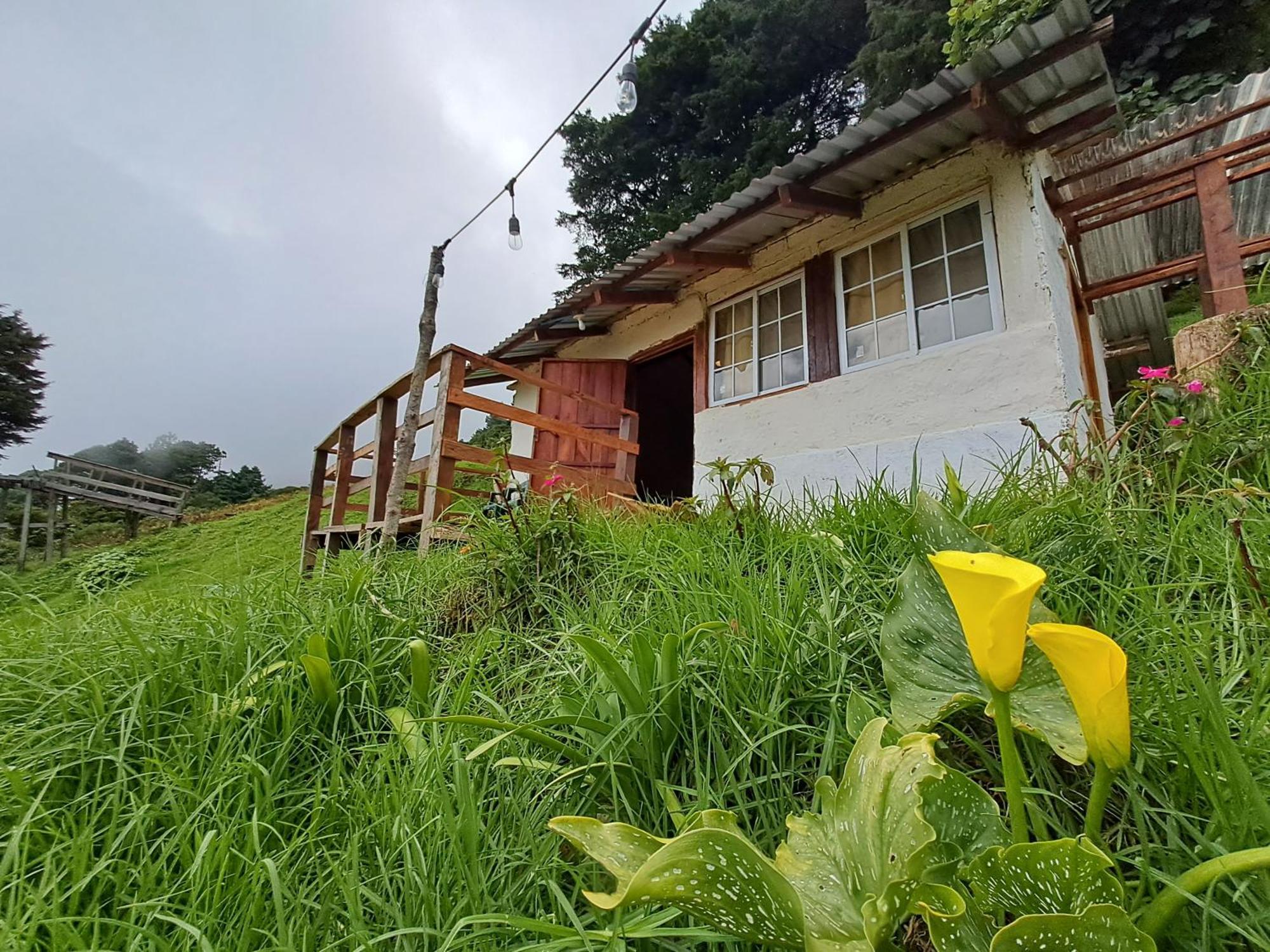 El Pital Ecolodge San Ignacio Eksteriør bilde